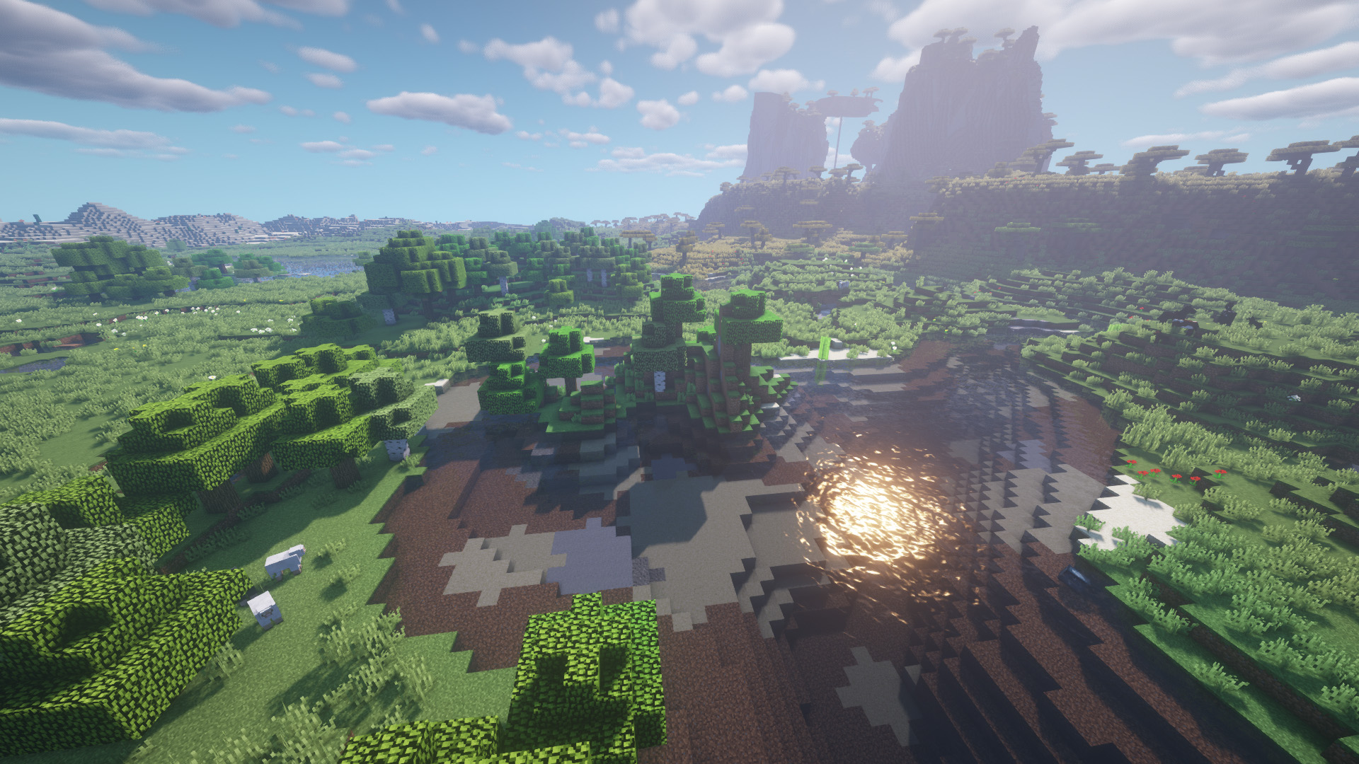 Update the shaders